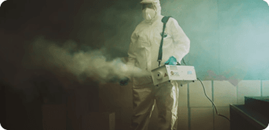 Extensive Pest Control For Businesses