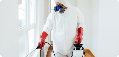 Extensive Home Fumigation